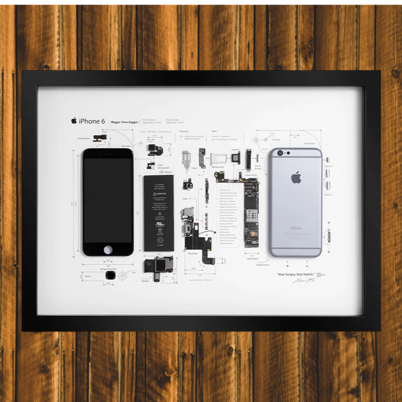 Framed iPhone 6 Disassembled Phone Art