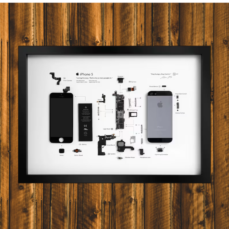 Framed iPhone 5 Disassembled Phone Art