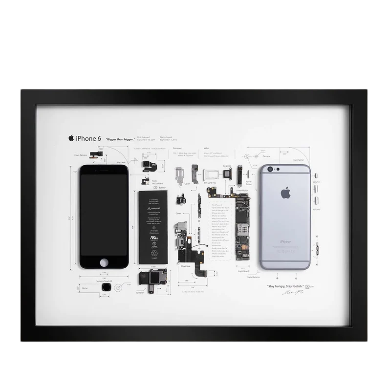 Framed iPhone 6 Disassembled Phone Art
